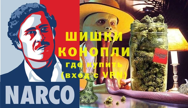 PSILOCYBIN Пересвет