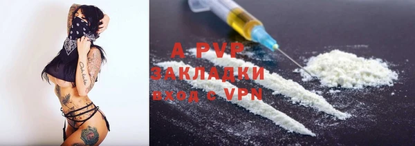 прущие грибы Переславль-Залесский