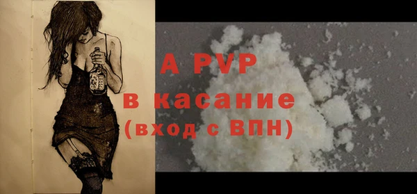 прущие грибы Переславль-Залесский