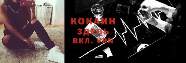 PSILOCYBIN Пересвет