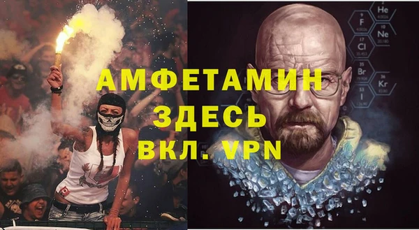 прущие грибы Переславль-Залесский