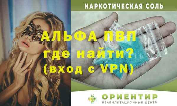 прущие грибы Переславль-Залесский