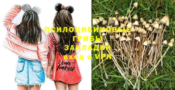 мяу мяу кристалл Покачи