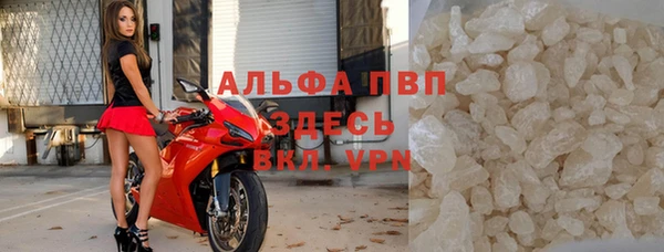 прущие грибы Переславль-Залесский