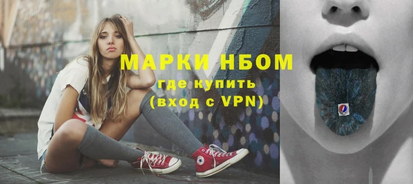 прущие грибы Переславль-Залесский