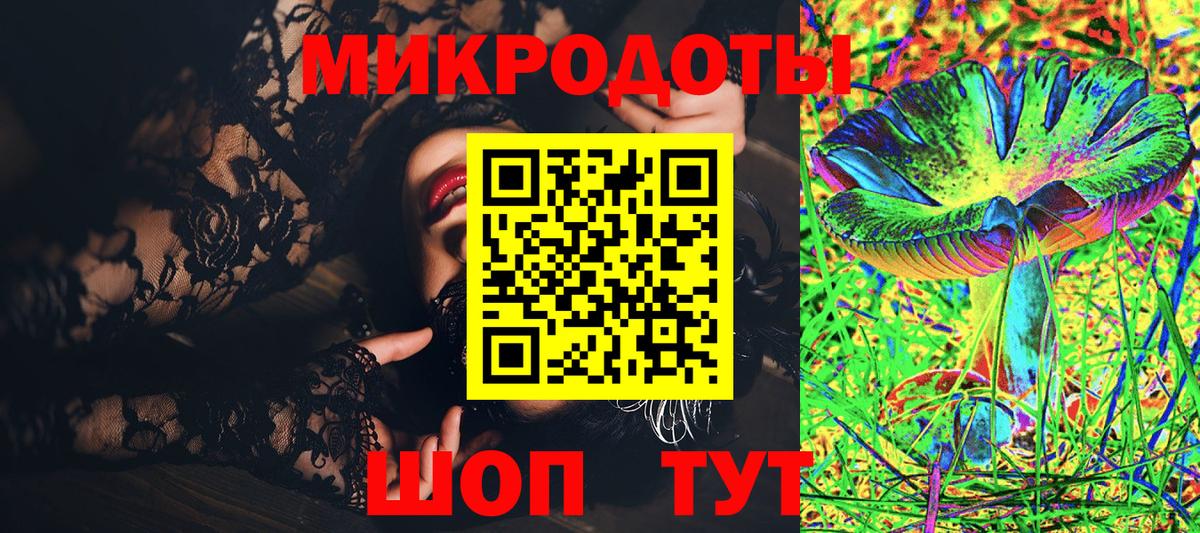 Галлюциногенные грибы Psilocybine cubensis Одинцово