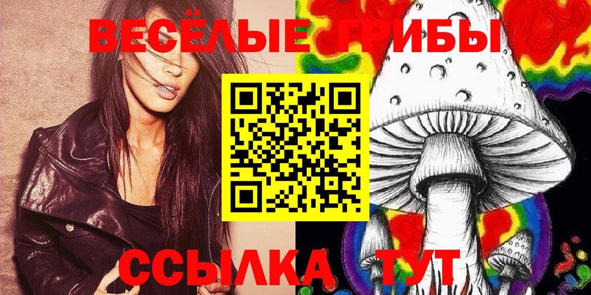 Одинцово  Галлюциногенные грибы прущие грибы  Псилоцибиновые грибы Psilocybine cubensis  магазин продажи   Вход с VPN 